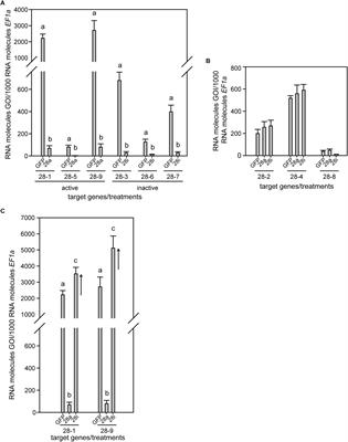 Pectin Digestion in Herbivorous Beetles: Impact of Pseudoenzymes Exceeds That of Their Active Counterparts